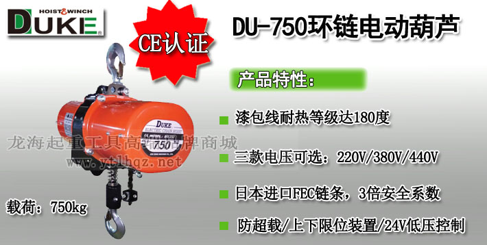 DU-750环链电动葫芦图片